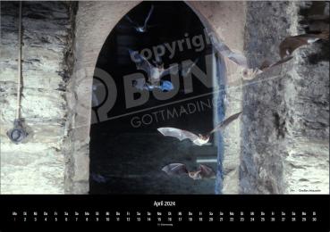 Fledermauskalender für 2023 - April